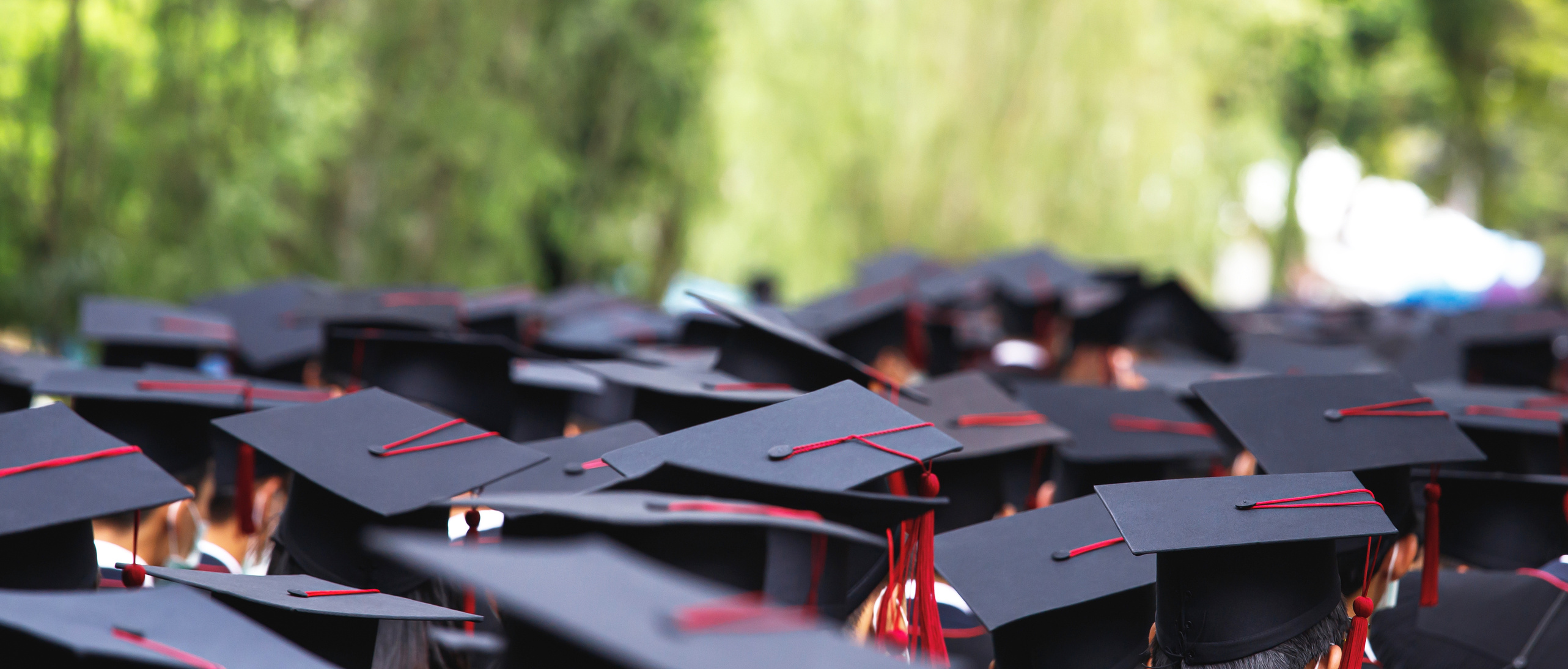 Crowd of Graduates 